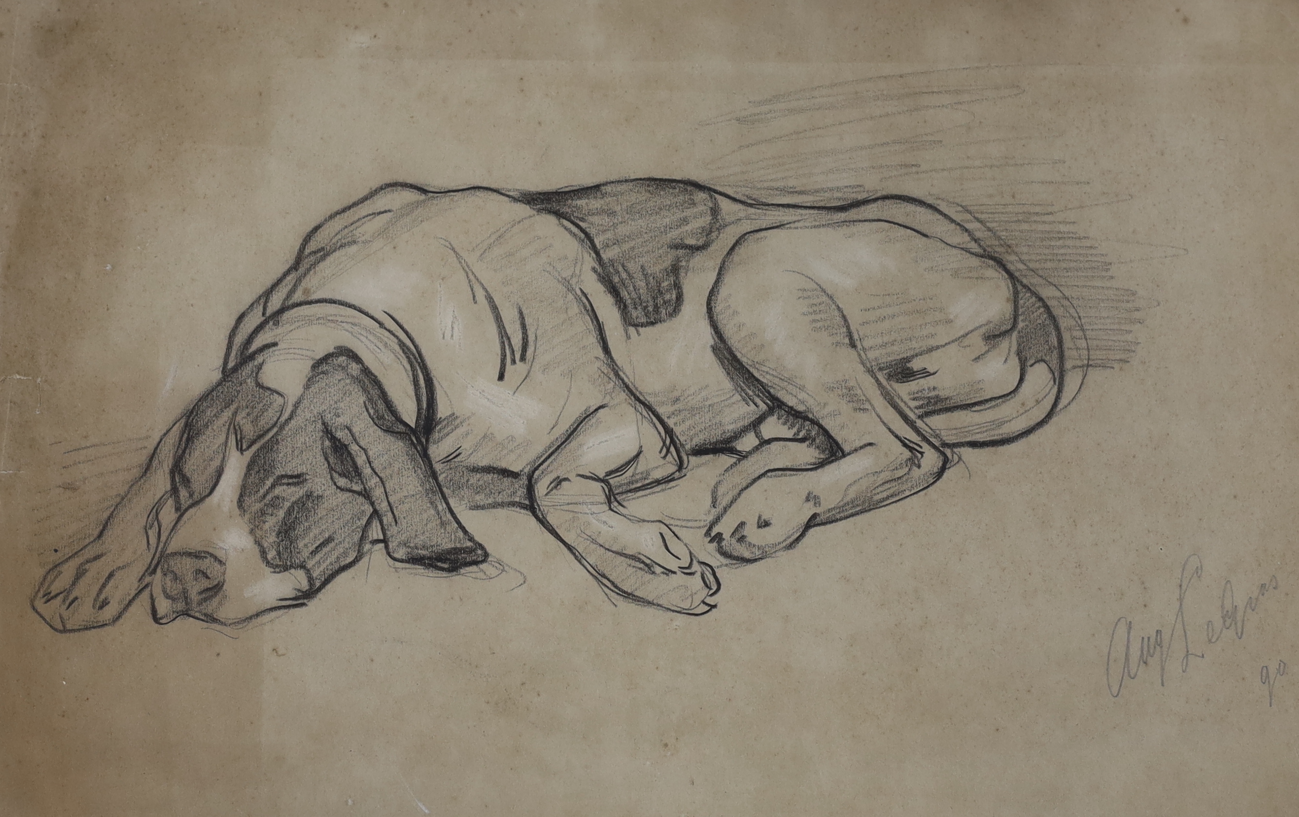 August Johannes Le Gras (Dutch, 1864-1915), heightened charcoal, Study of a dog, signed, details verso, 29 x 45cm